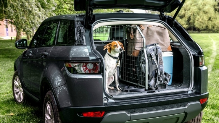 Kā radīt kārtību un sistēmu bagāžas nodalījumā?